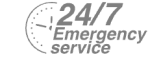 24/7 Emergency Service Pest Control in Ilford, Loxford, IG1. Call Now! 020 8166 9746