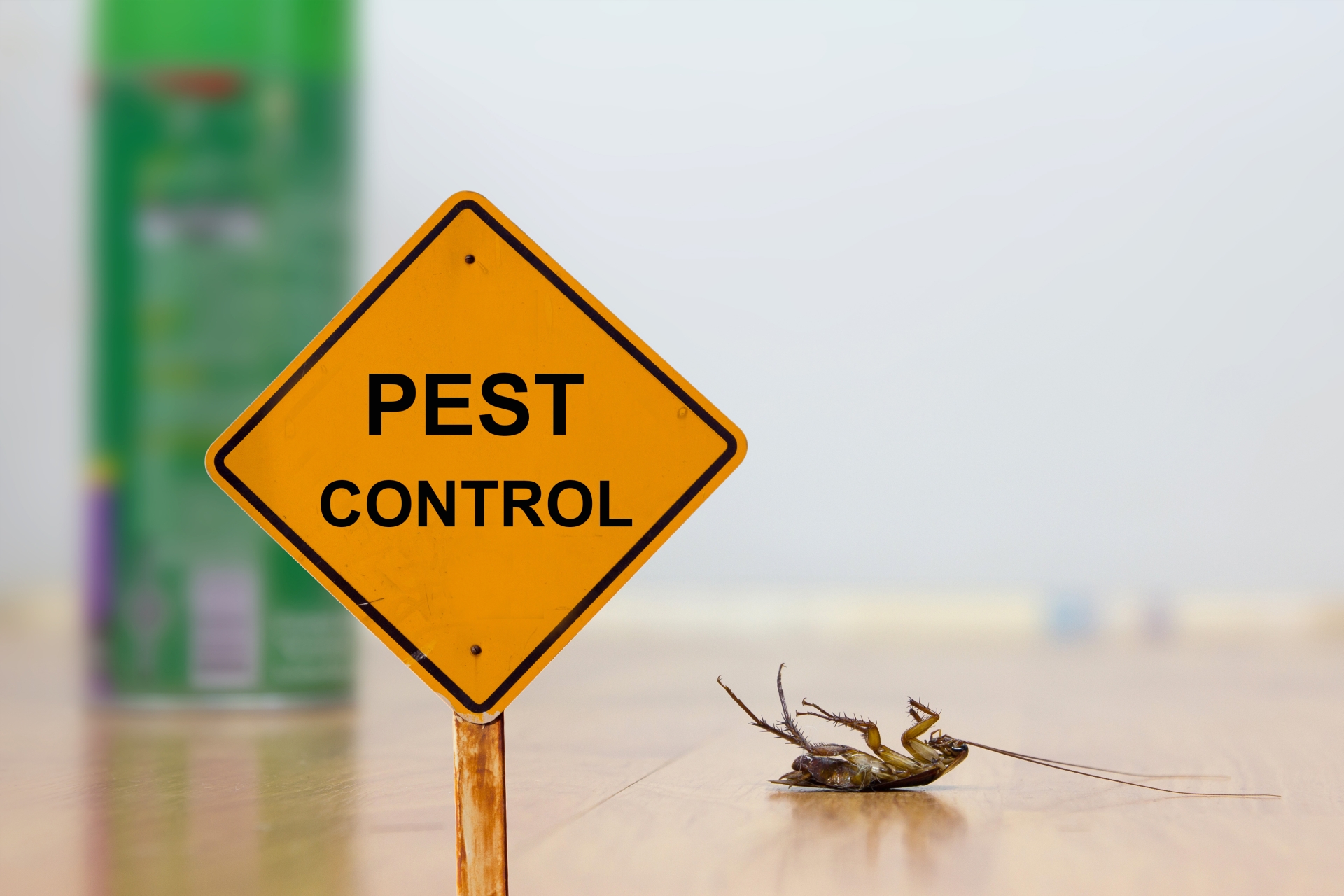 24 Hour Pest Control, Pest Control in Ilford, Loxford, IG1. Call Now 020 8166 9746